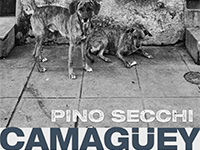 Pino Secchi-Camaguey Havana