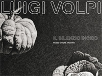 Mostra su Luigi Volpi - Il silenzio inciso
